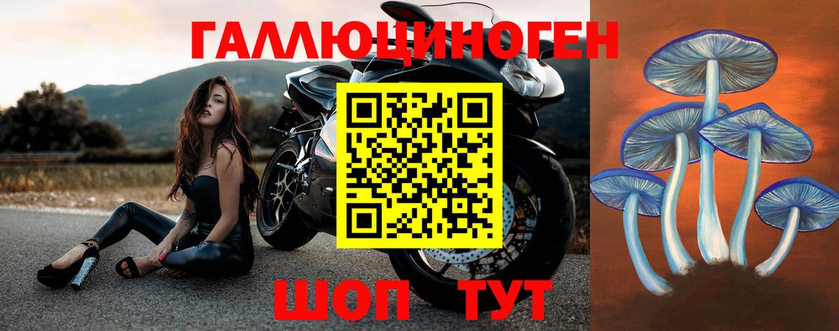Галлюциногенные грибы мицелий Йошкар-Ола
