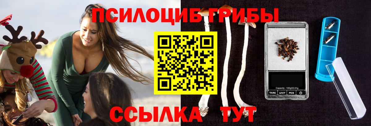 Йошкар-Ола  Псилоцибиновые грибы Psilocybe  Вход с VPN 